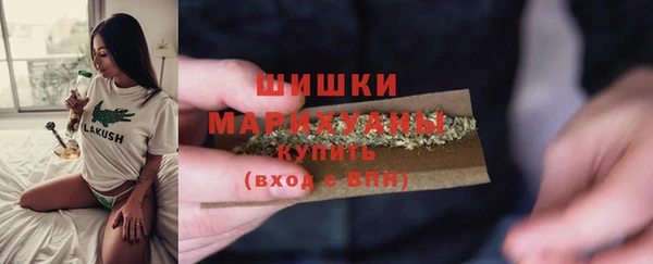 шишки Алзамай