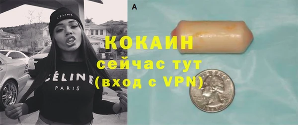 гидра Грязовец