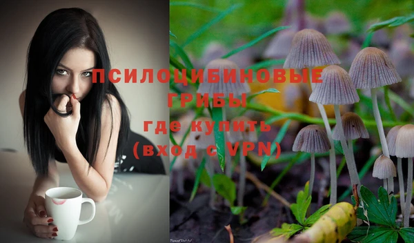 шишки Алзамай